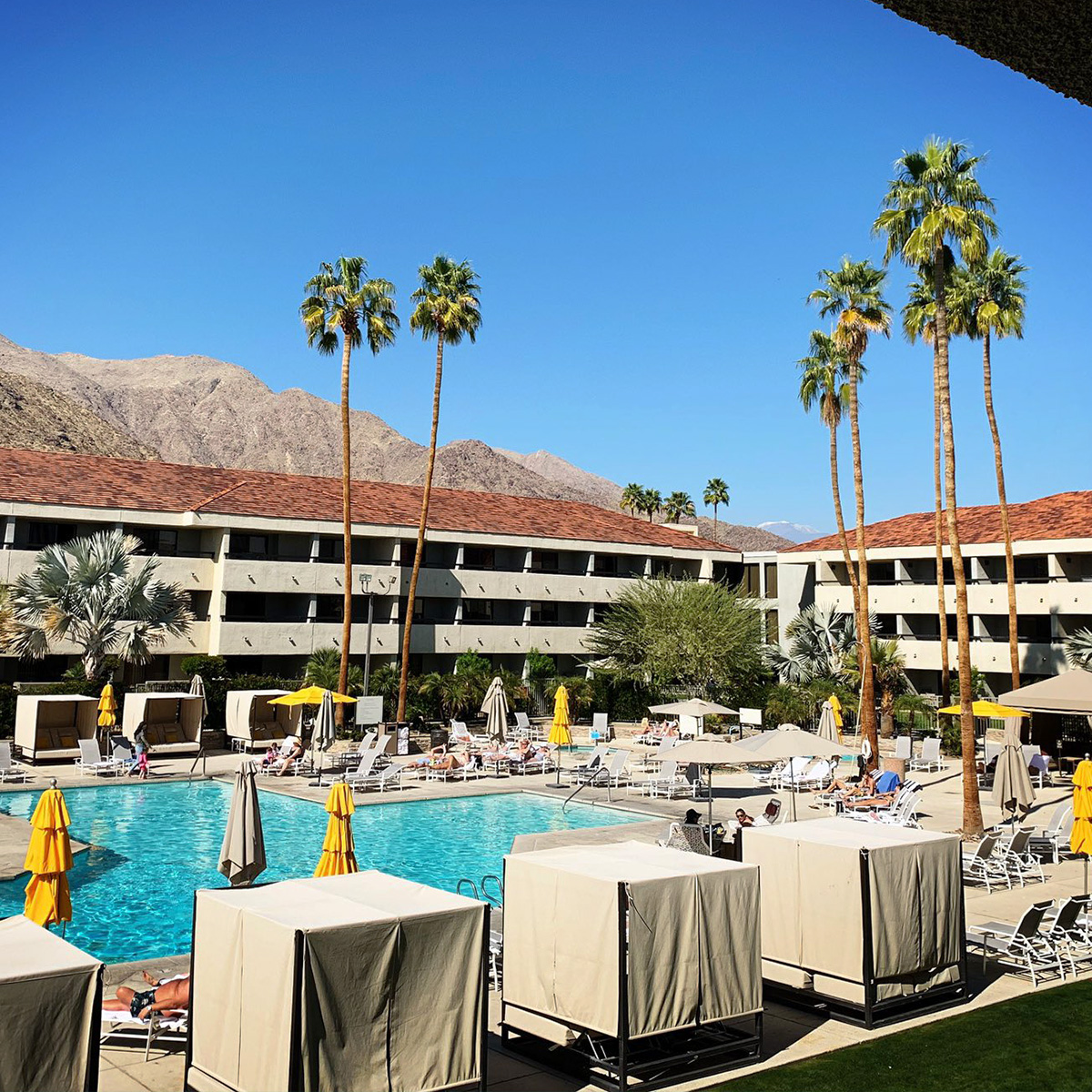 Palm Springs Hilton